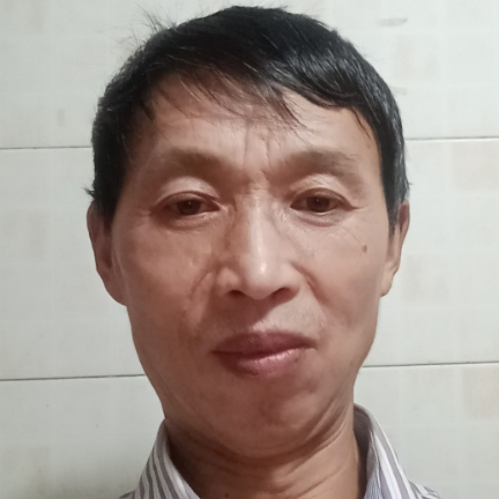 高飞的大雁的照片