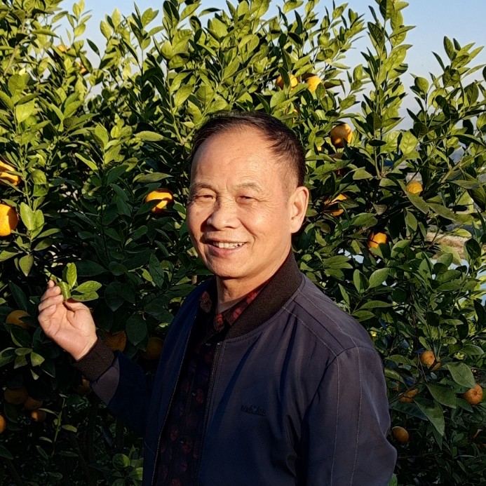 鲜花回首斑驳的照片