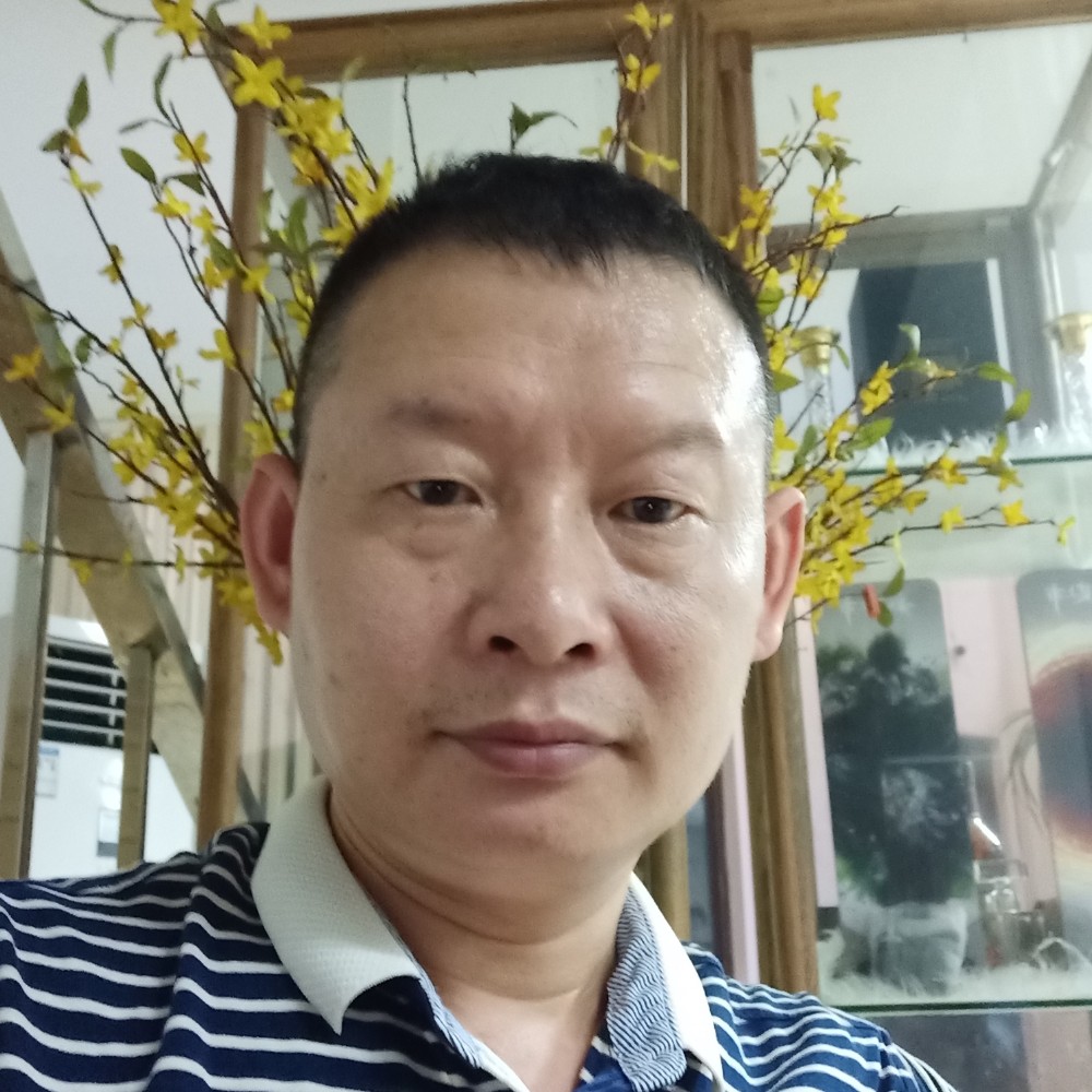 柔弱停止画笔的照片