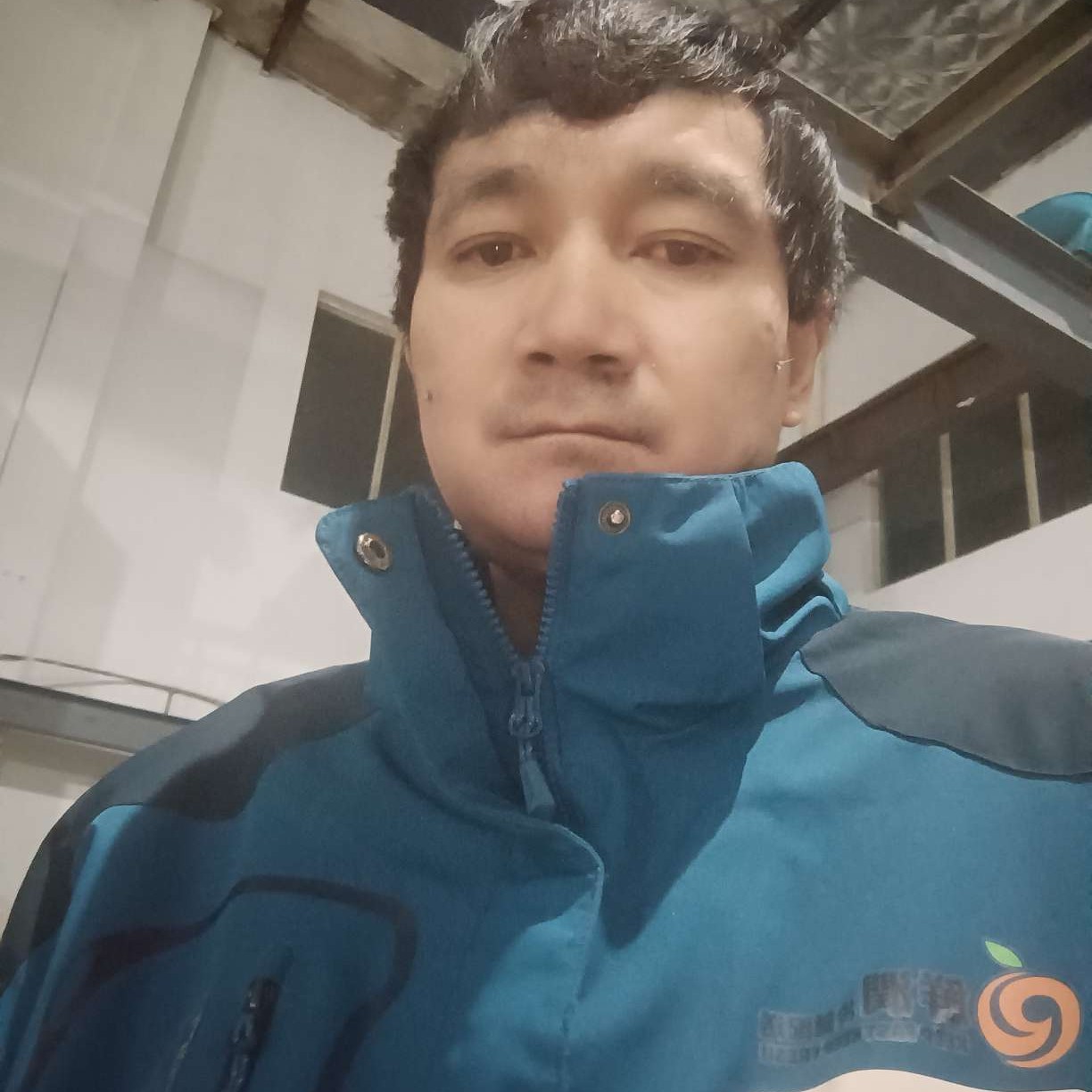 猎豹踢爱笑的照片