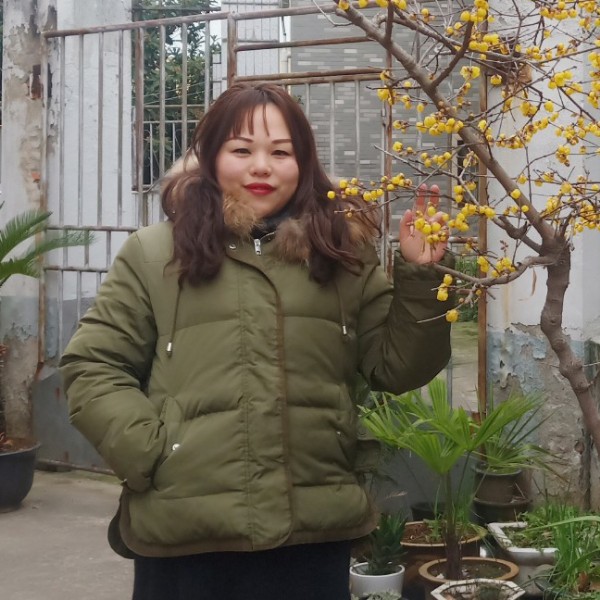 梅子的瞬间的照片