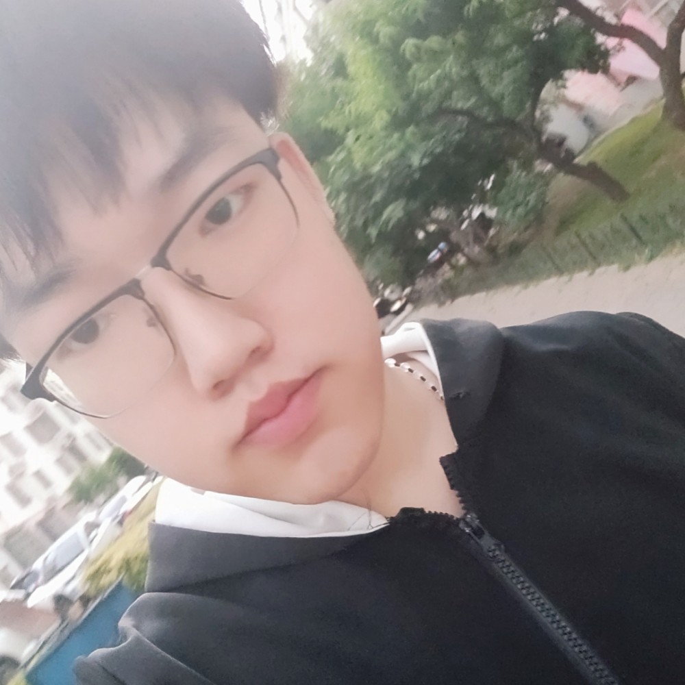 夜间动物的照片