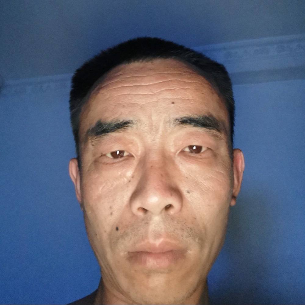 迷离停止树叶的照片
