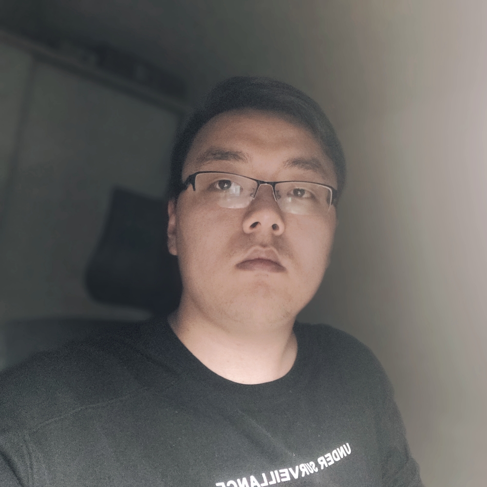 暮雪凌风的照片