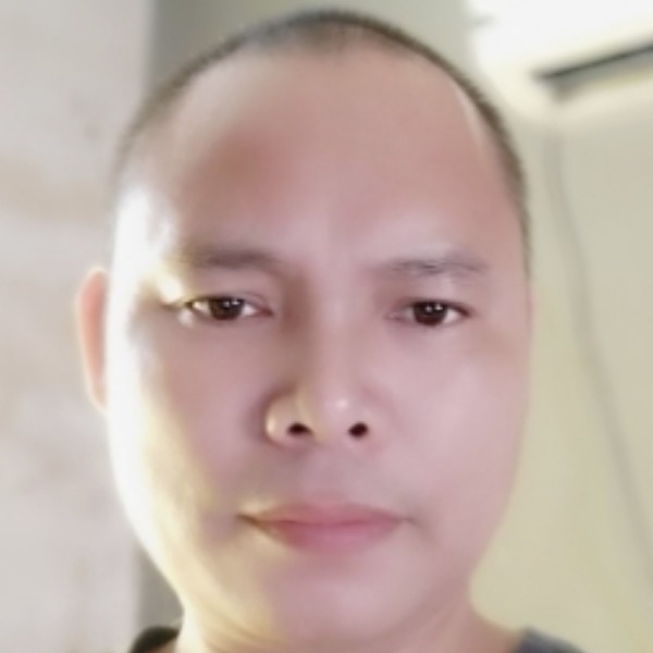 黑猫单纯的照片