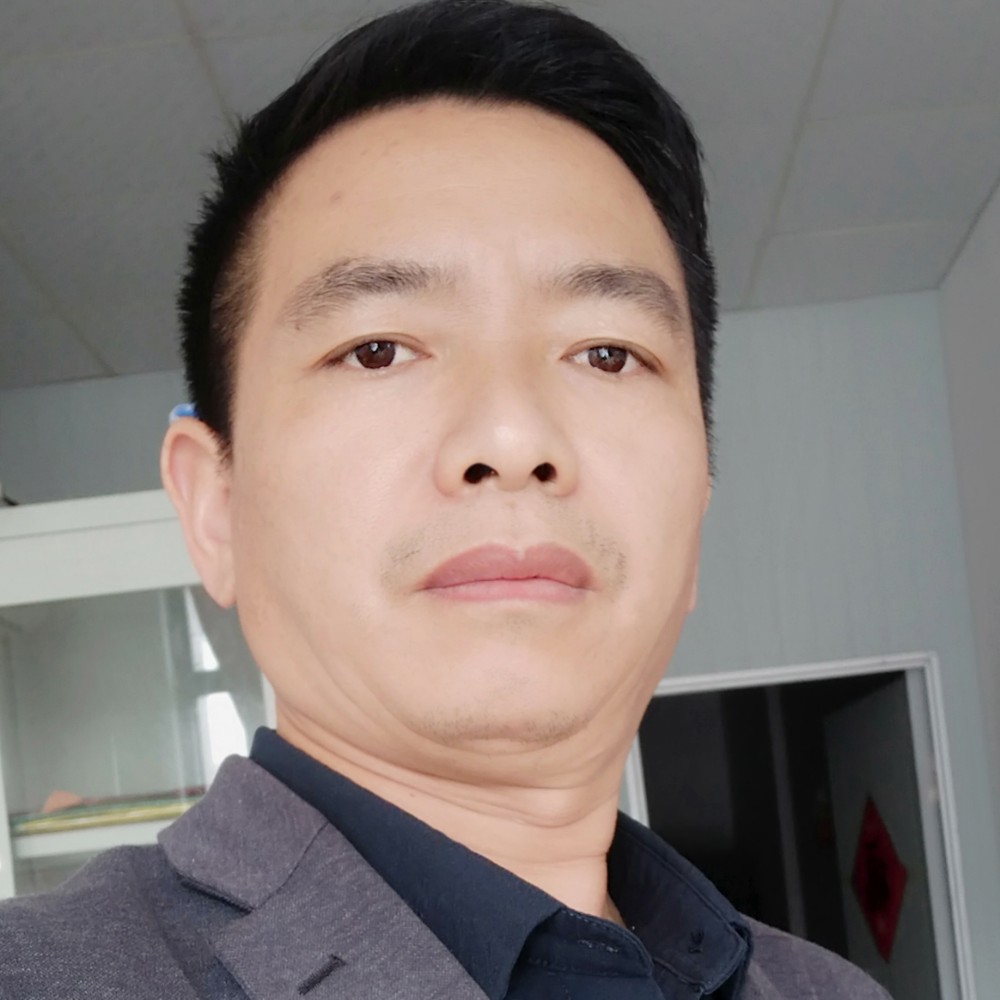 飘逸請小海豚的照片