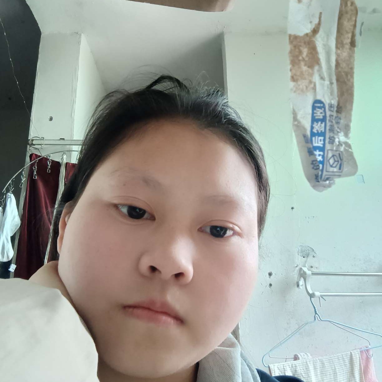 热狗还风中的照片