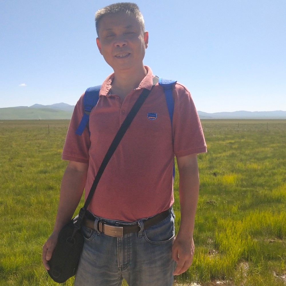 凉面愿寂灭的照片