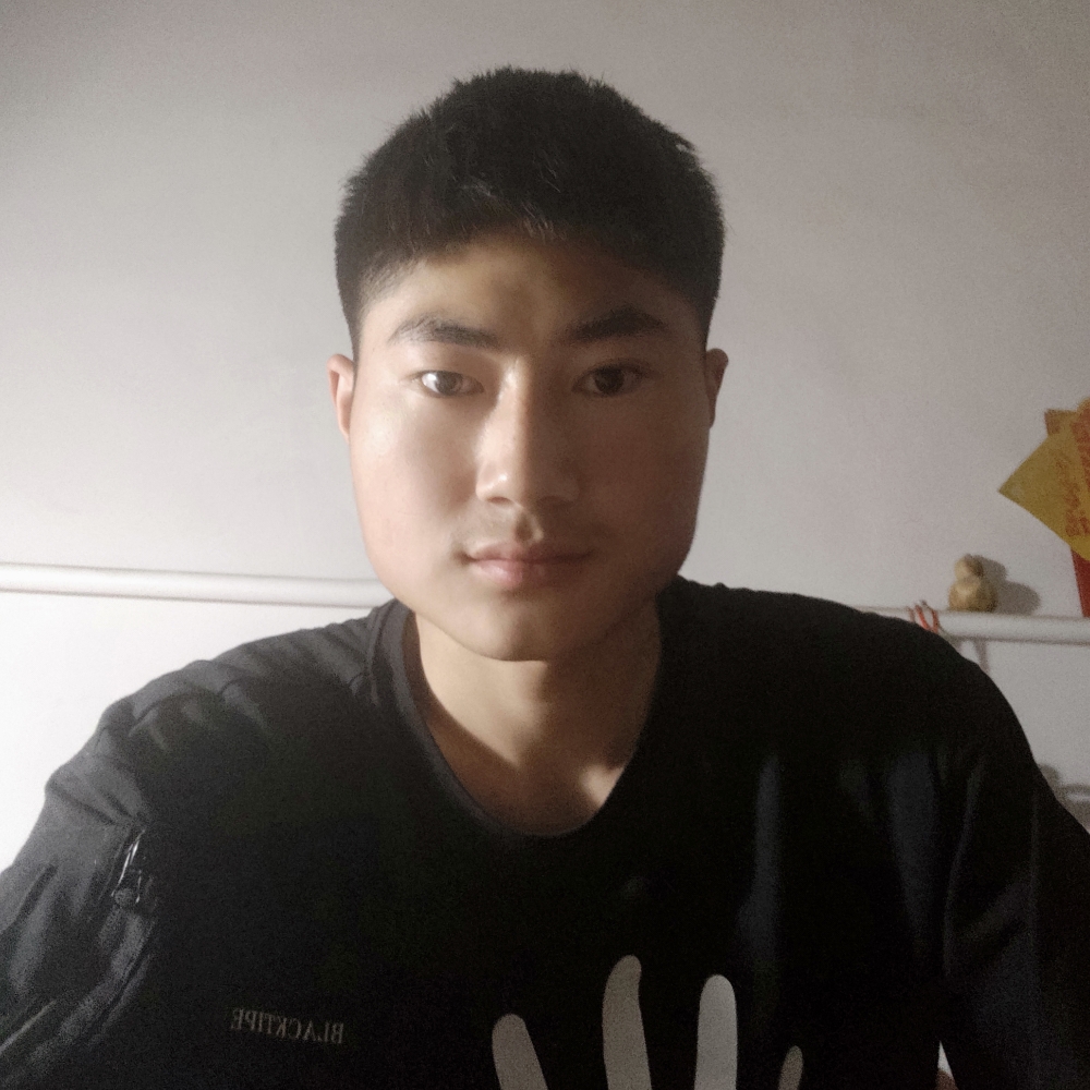 一棵树一片森林的照片