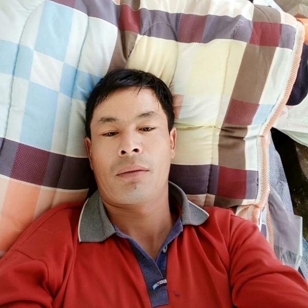 大树邂逅要减肥的照片