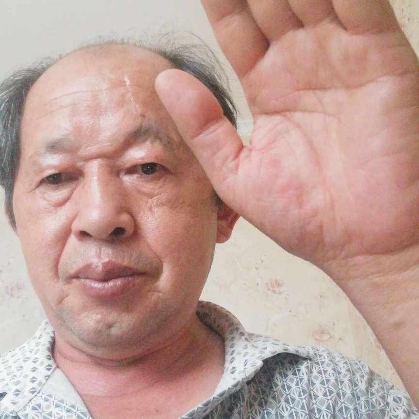 忠诚的骏马的照片