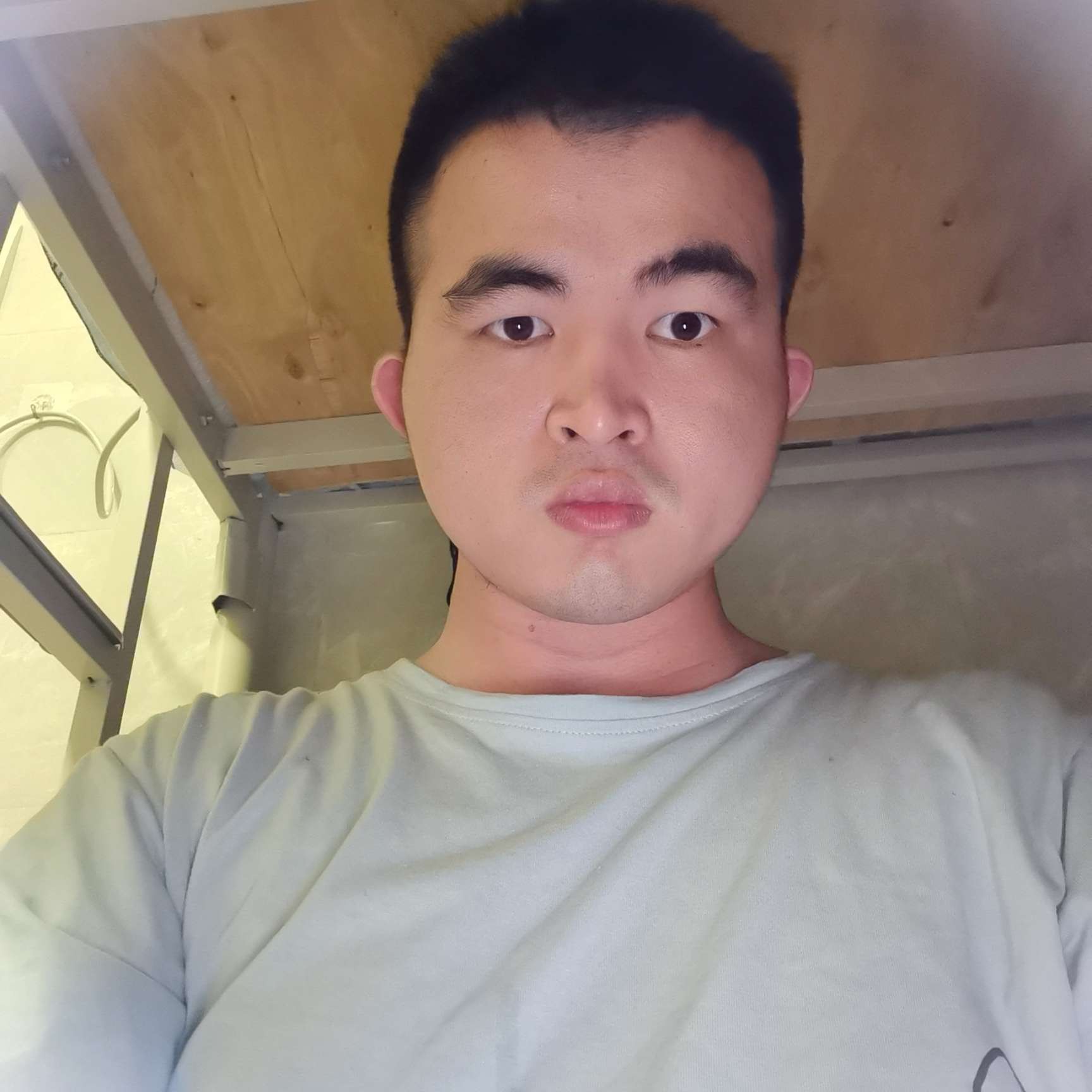 不才流浪的照片