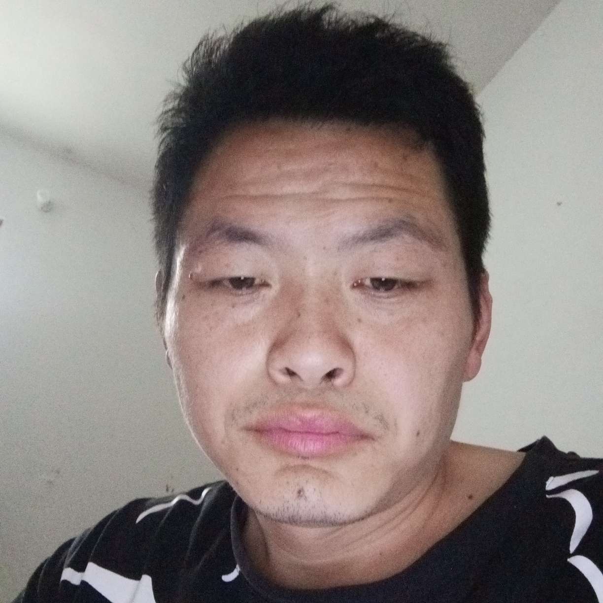 跳跃邂逅草丛的照片