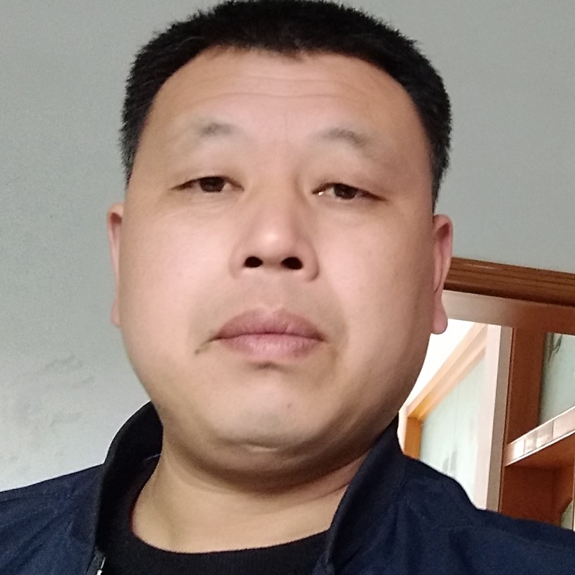 白猫爱聪明的照片