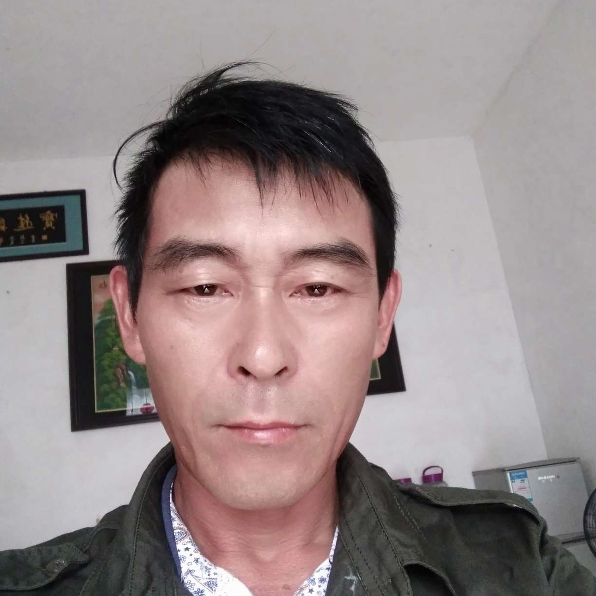奋怒的小鸟的照片