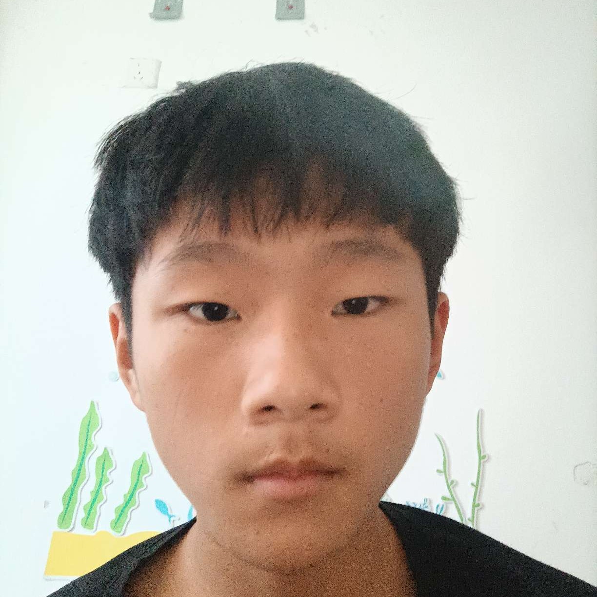 顺利倾心清曲的照片