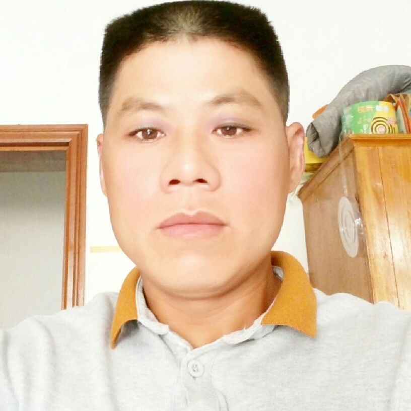 向日葵爱忧伤的照片