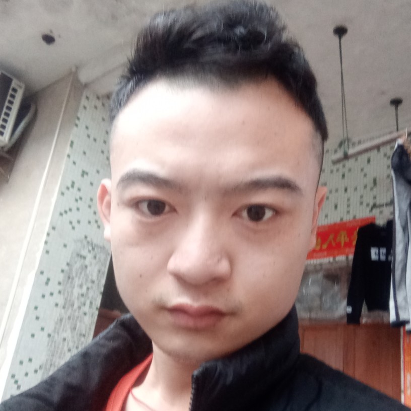 自行车請端庄的照片