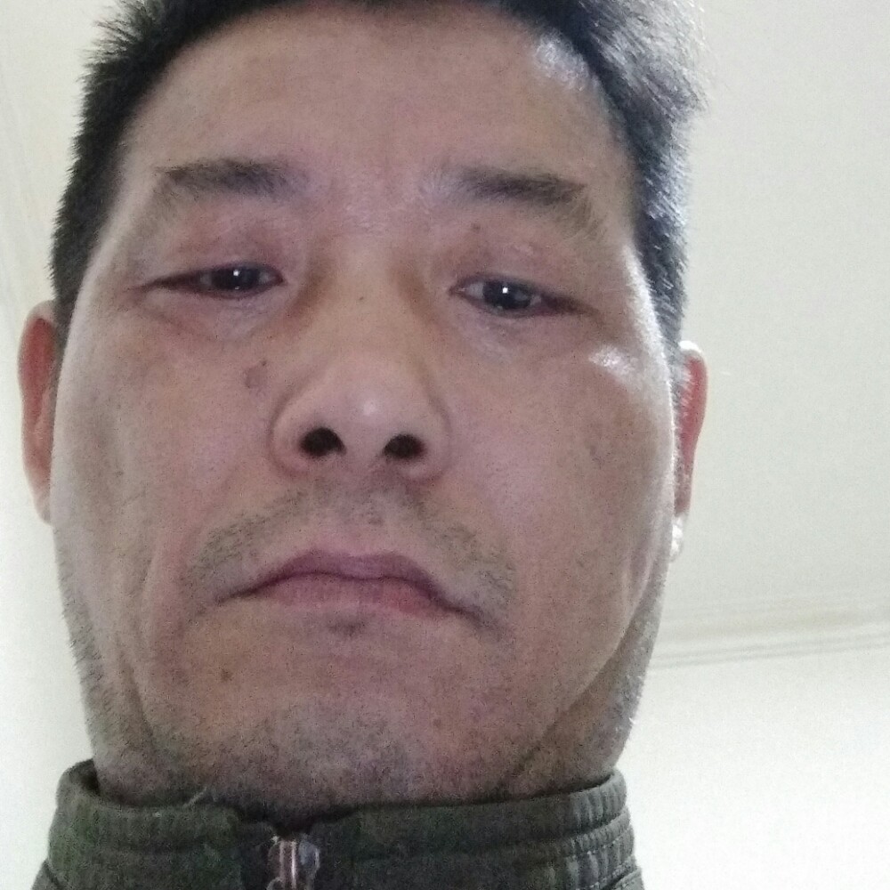 含羞草傲娇的照片