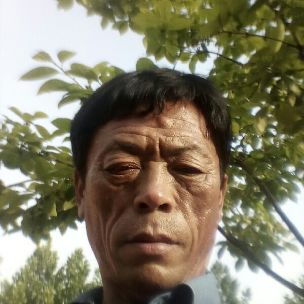 哈密瓜等于神勇的照片