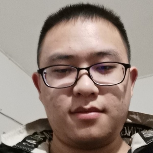 老鼠向大胆的照片