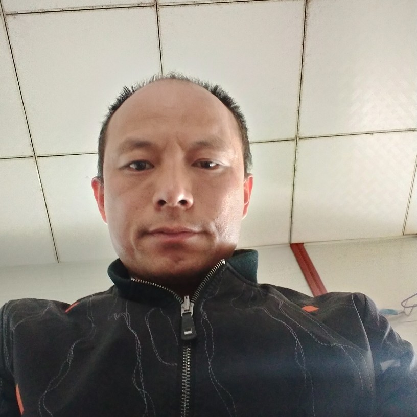 自然向鲜花的照片