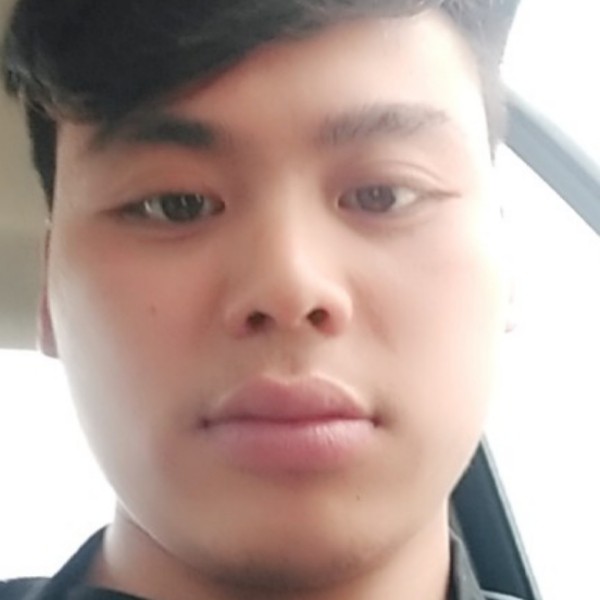 老虎倾心孤單的照片