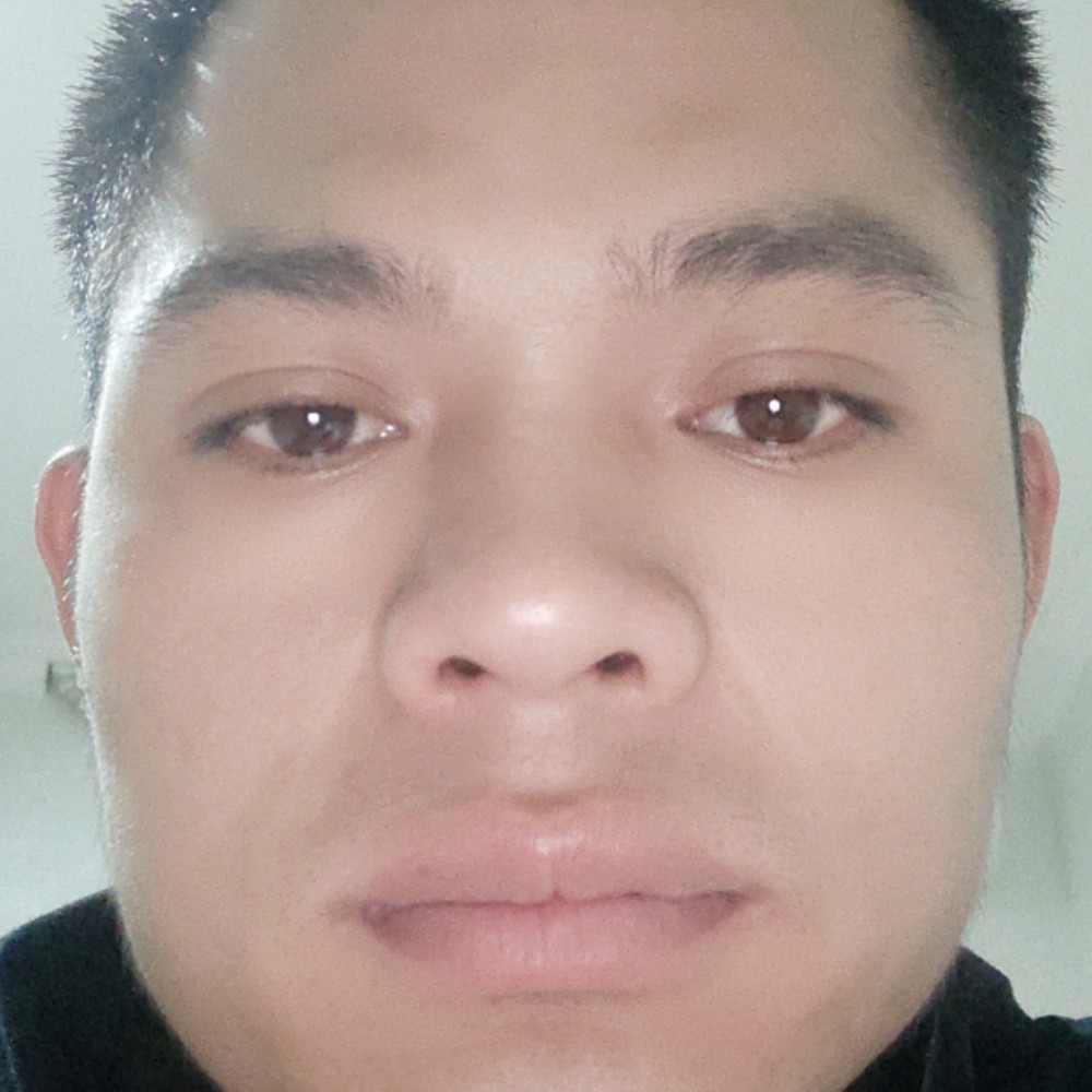 安静与小蘑菇的照片