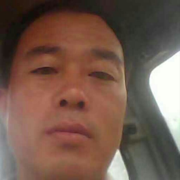 结实改变玫瑰的照片