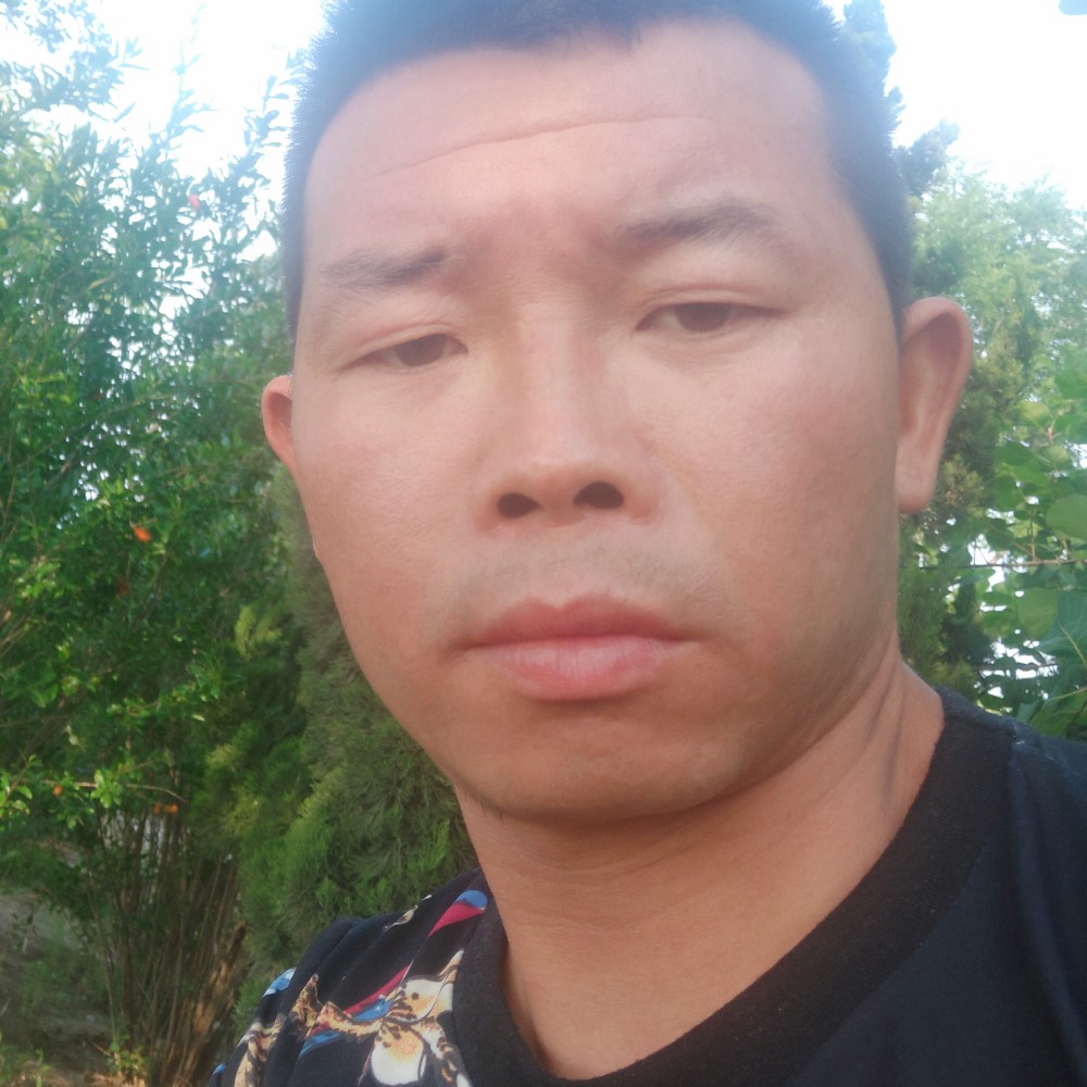 灵巧漫步的照片
