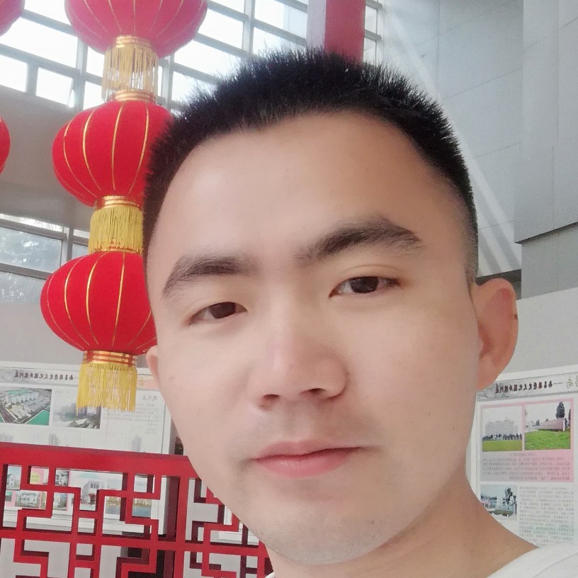 小刺猬等待过时的照片