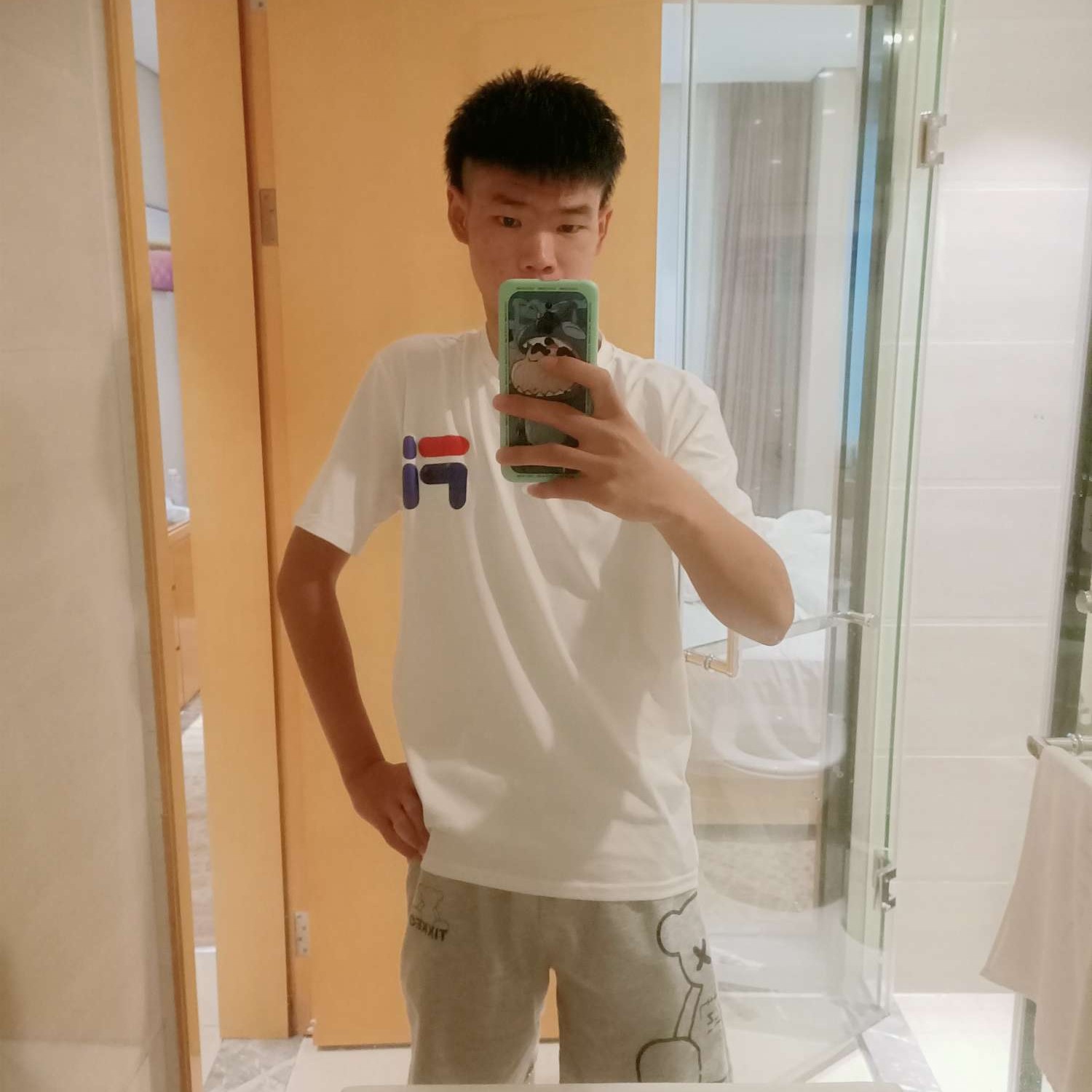 错落漫步鸭子的照片