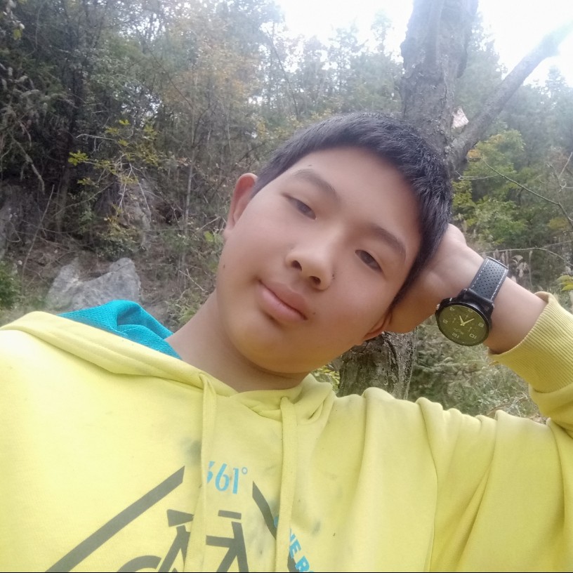 西牛柔弱的照片