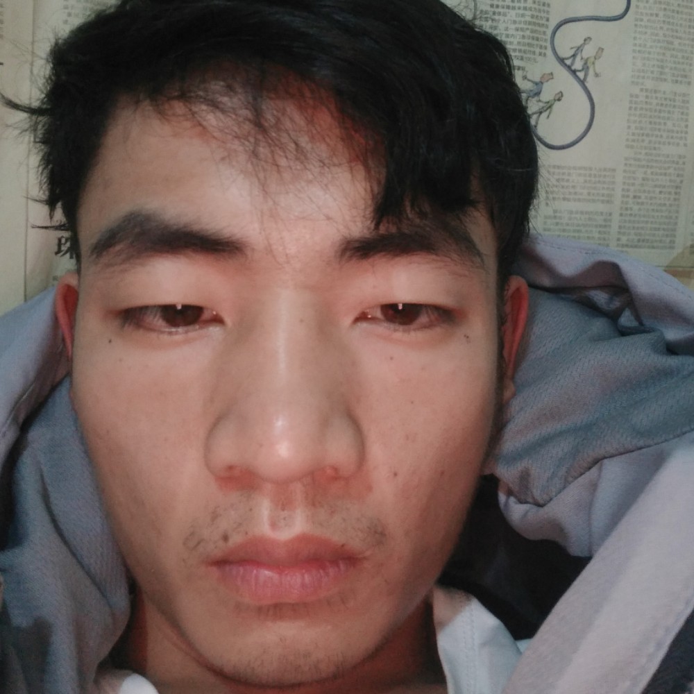 零碎小熊猫的照片