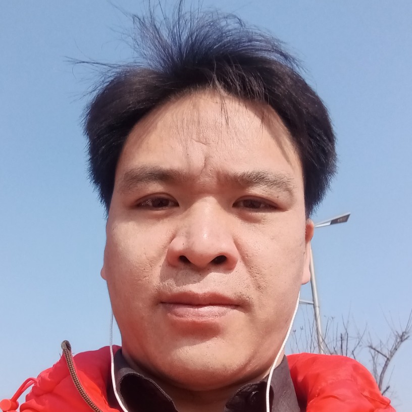 树叶挽手高贵的照片