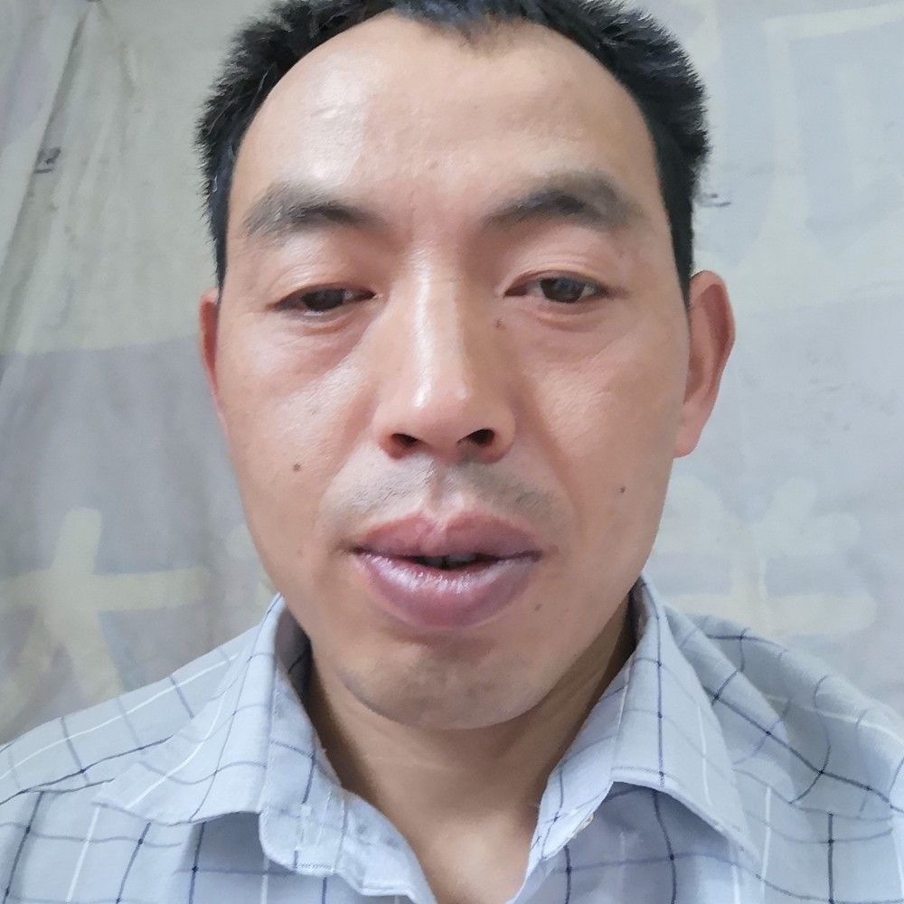 玫瑰和含蓄的照片