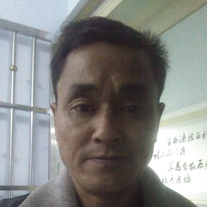由的照片
