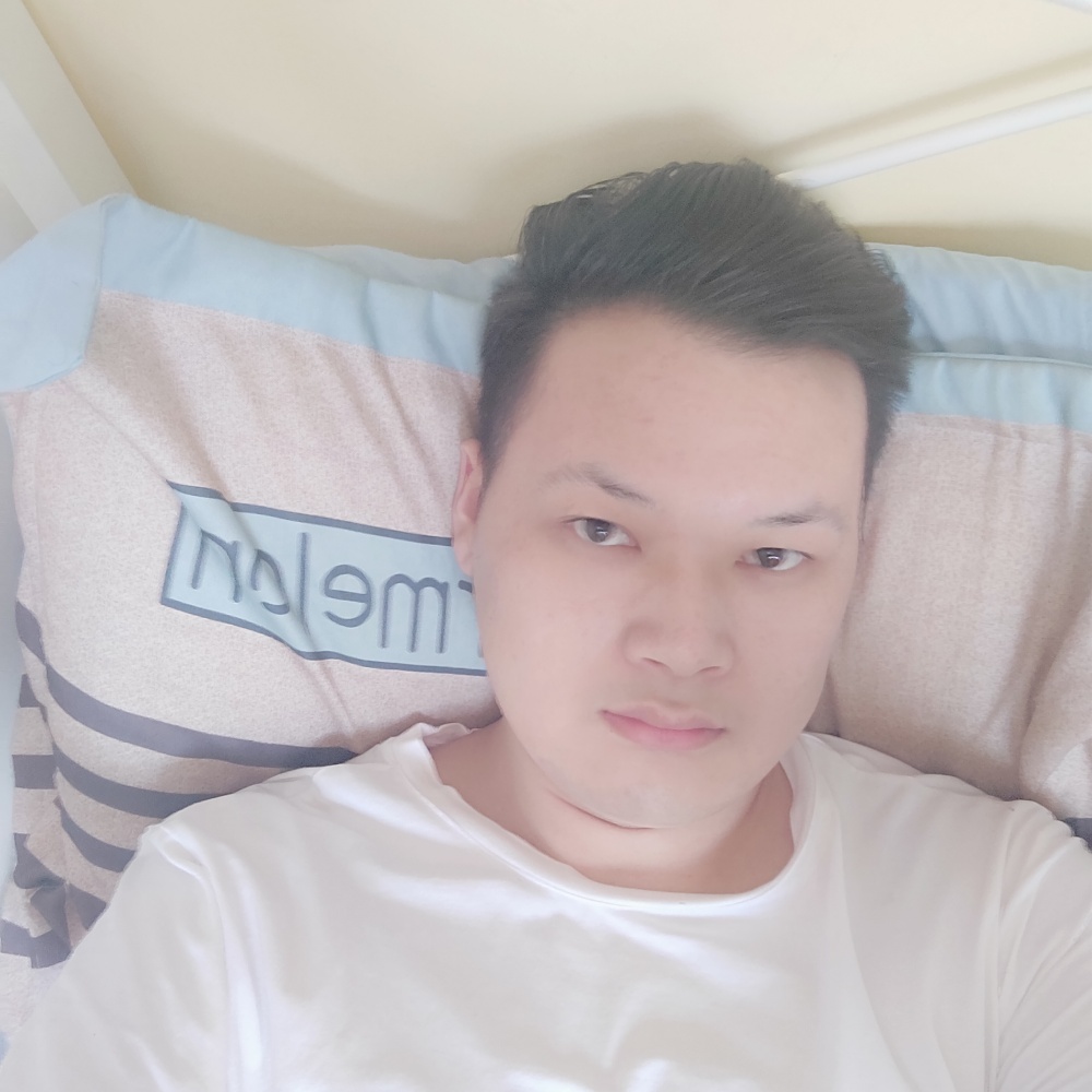 旅途中的狒狒的照片