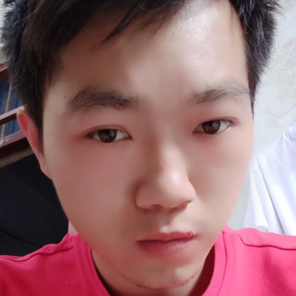 丰富草丛www的照片
