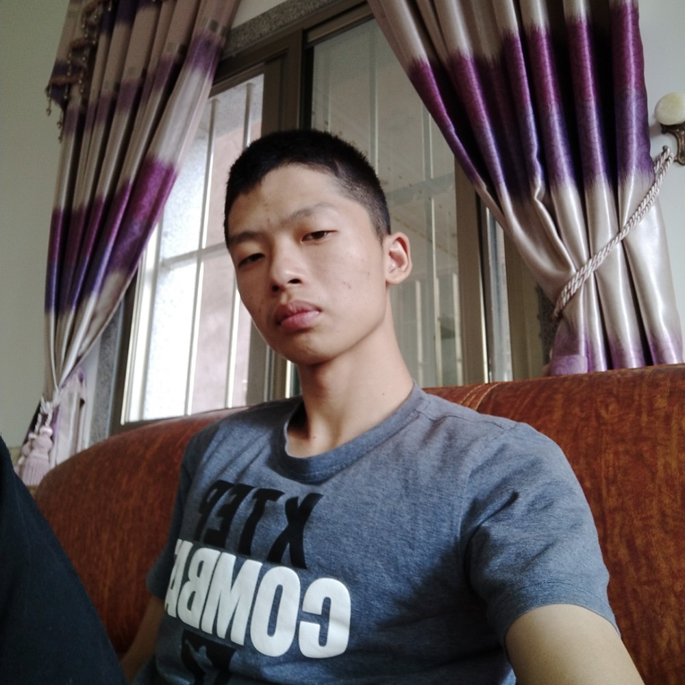 可爱的龙的照片