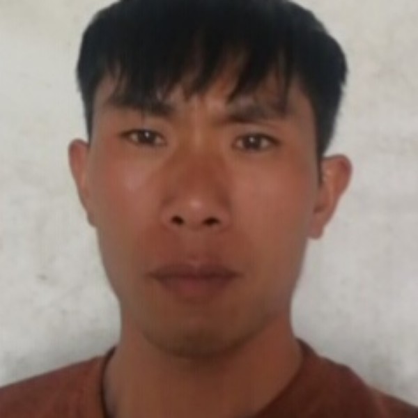 红灵的照片