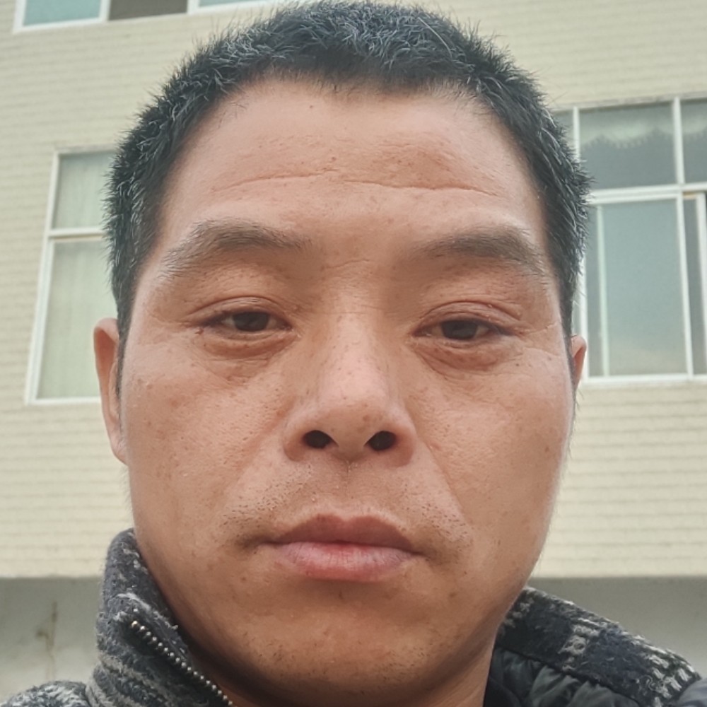 娇气停止蜜蜂的照片