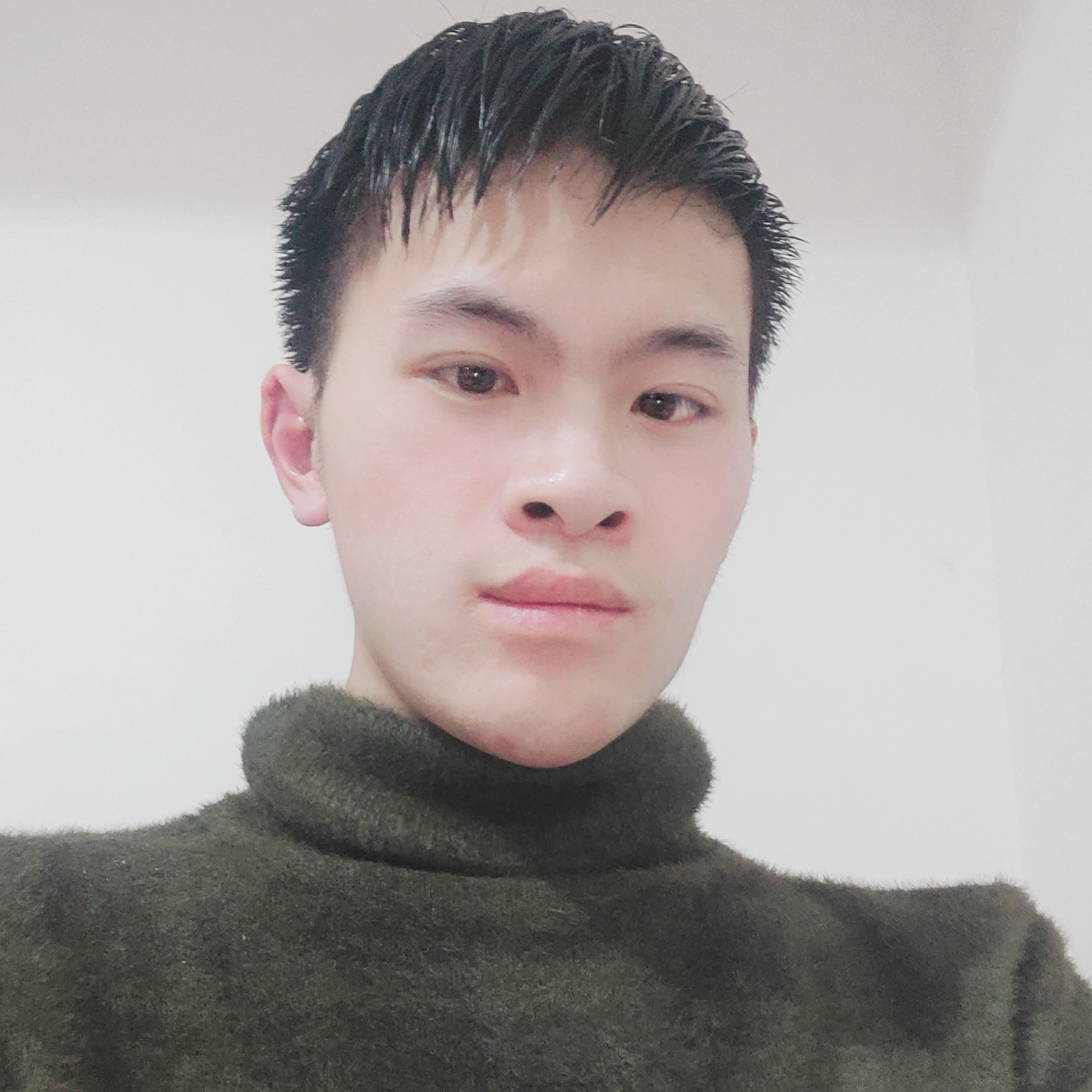 忧郁向小天鹅的照片