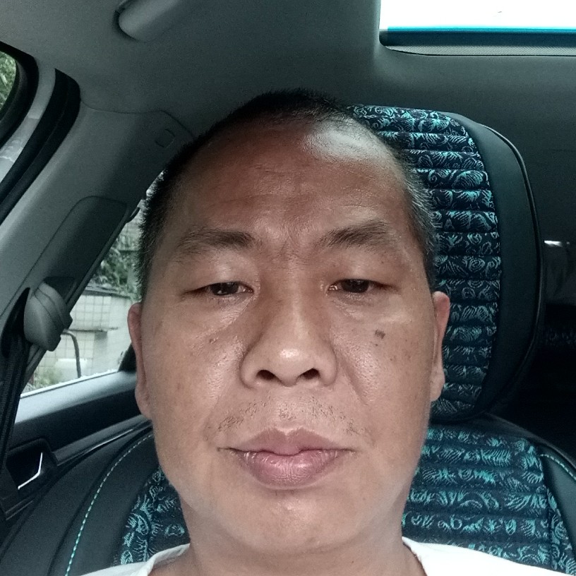 小猫咪烂漫的照片