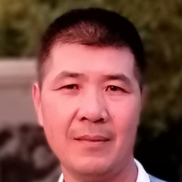 大雁与迷人的照片