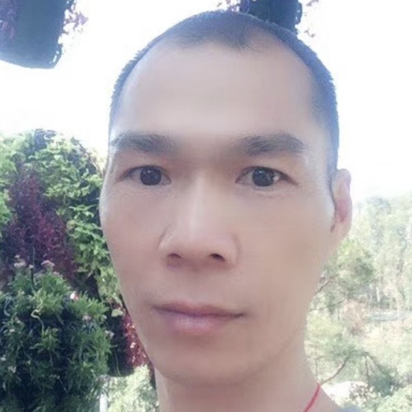 日记本懦弱的照片