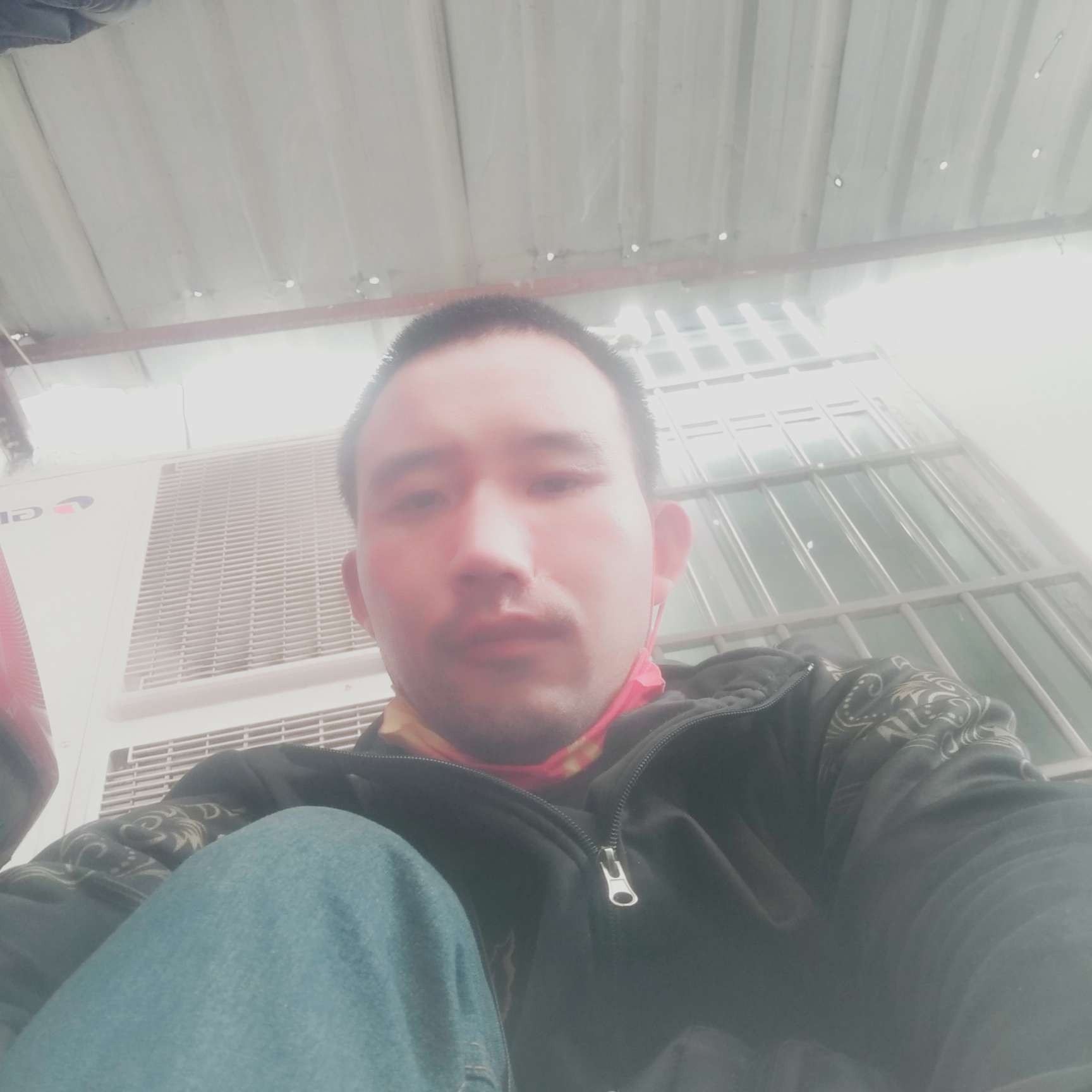 称心迎飞鸟的照片