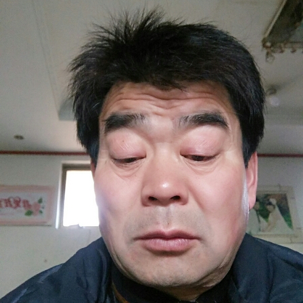 大气金毛的照片