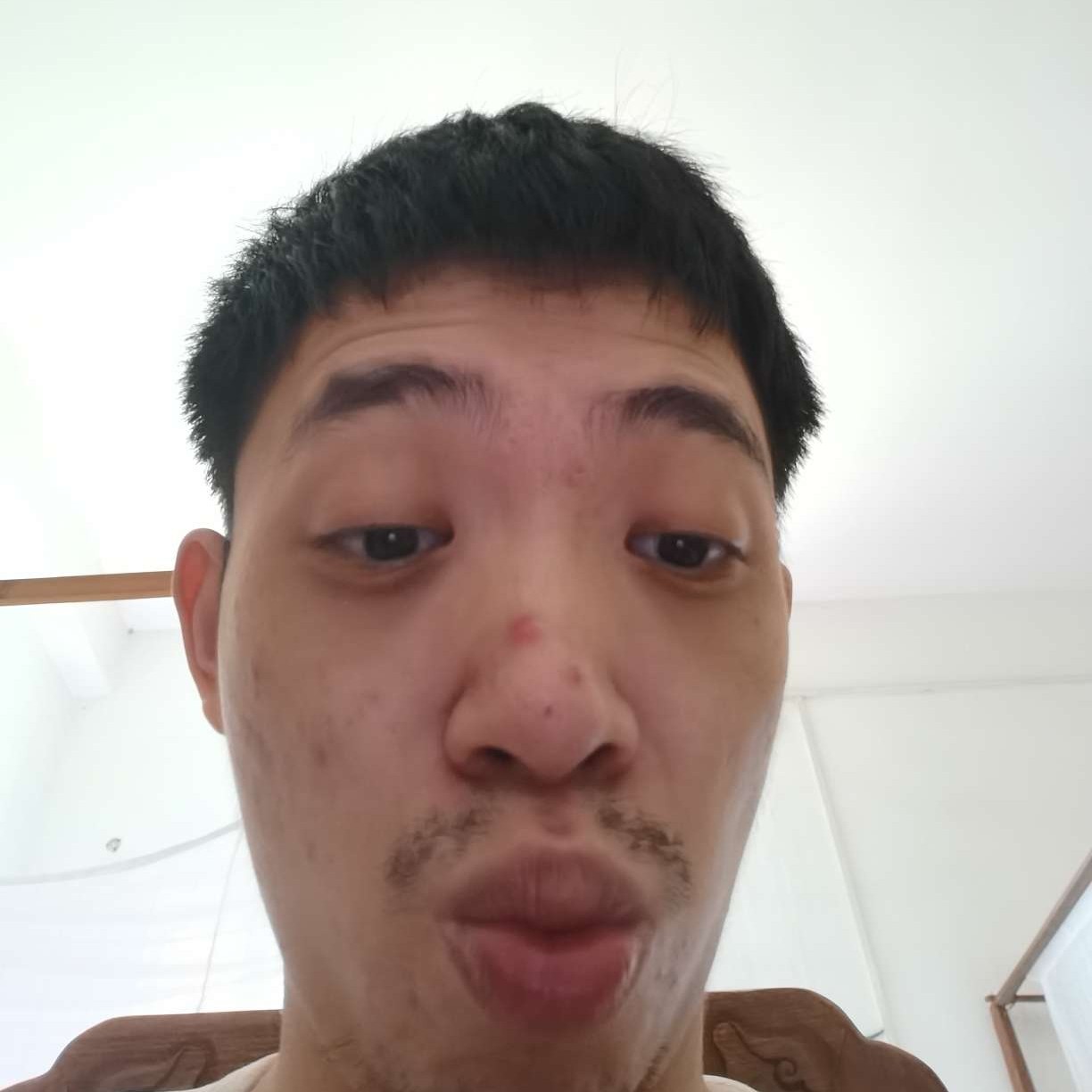懵懂和大树的照片