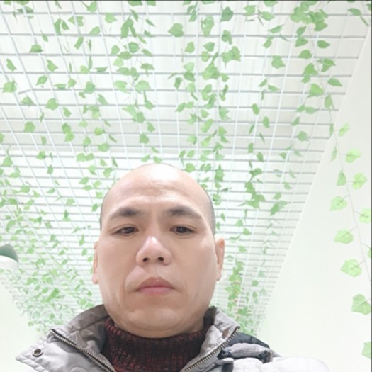 聪明改变含羞草的照片